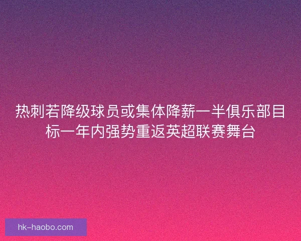 热刺若降级球员或集体降薪一半俱乐部目标一年内强势重返英超联赛舞台